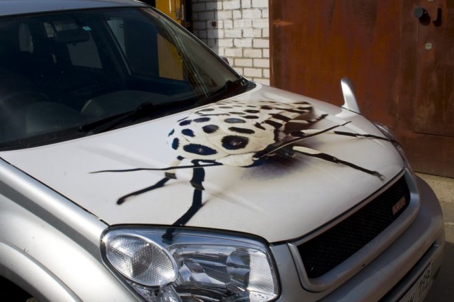 Модный визуальный тюнинг